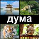 4 снимки 1 дума 2020 APK