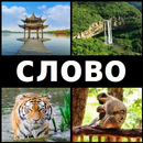 4 фото 1 слово 2020 APK