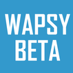 simsapp icon
