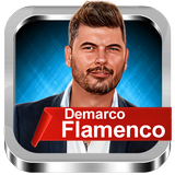 Demarco Flamenco icon