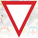Aprove CNH 2024 APK
