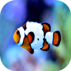 My Aquarium Simulation icon