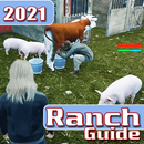 Ranch Simulator Mobile Guide APK