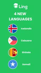 Ling – Language Learning App XAPK download