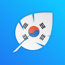 Write Korean: Learn to Write K APK