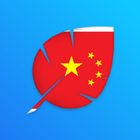 Learn to write Chinese Simplif icono