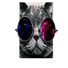Weird Cat wallpaper,beautiful picture. icono