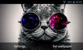 Weird Cat wallpaper,beautiful picture. captura de pantalla 1