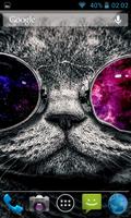 Weird Cat wallpaper,beautiful picture. imagem de tela 3