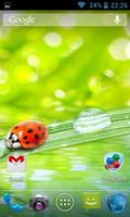 Ladybug Free Live Wallpaper HD Affiche