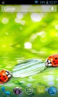 2 Schermata Ladybug Free Live Wallpaper HD
