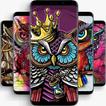 Owl Wallpapers