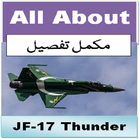 JF-17 Thunder v1.0 Amazing details icône