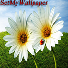 SetMyWallpaper icône