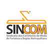 Sincom иконка