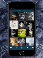 والپیپر گربه HD Screenshot 2