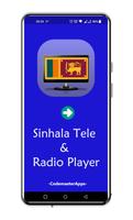 Teledrama & Radio Player Plakat