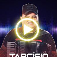 Tarcisio do Acordeon songs screenshot 1