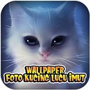 Wallpaper Foto Kucing Lucu Imut APK