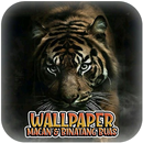 Wallpaper Macan & Binatang Buas APK