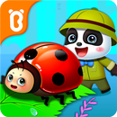 Little Panda’s Insect Diary APK