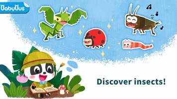 Little Panda’s Insect Diary پوسٹر
