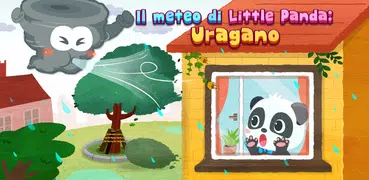 Baby Panda Sicurezza Uragani