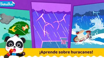 Seguridad Huracanes Panda Bebé Poster