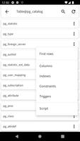 PostgreSQL Viewer imagem de tela 3