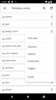 PostgreSQL Viewer capture d'écran 3