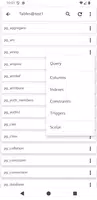 3 Schermata PostgreSQL Viewer