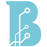 B.R.A.IN - Sisgeo