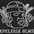 Papeleria Olmeca