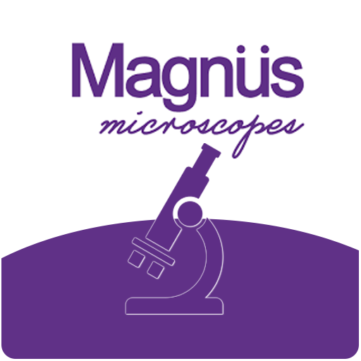 Magnus App