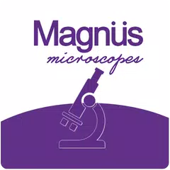 Magnus App