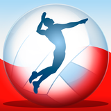 Volleyball Championship 2014 APK