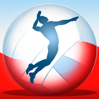 Volleyball Championship 2014 Zeichen
