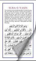 Siratul Jannah - English screenshot 3