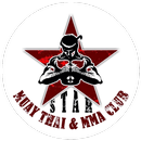 Star Marial Arts APK