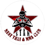 Star Marial Arts أيقونة