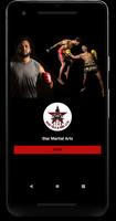 Star Marial Arts screenshot 2
