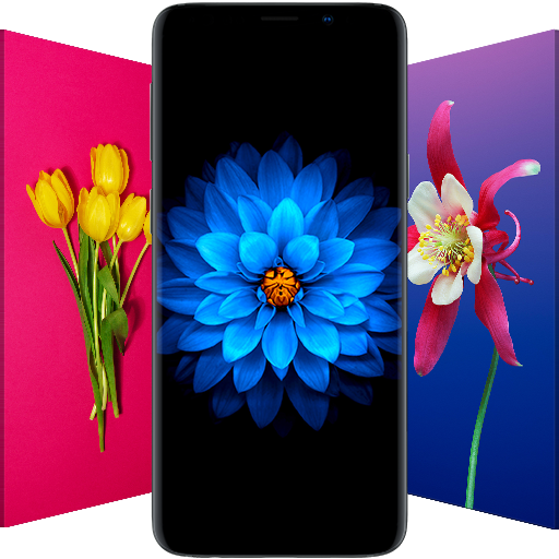 10000+ Flower Wallpapers