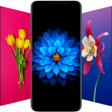 Flower Wallpapers icône