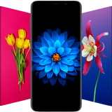 Flower Wallpapers ikona