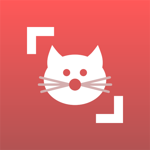 Cat Scanner: Katzen-Erkennung