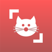 Cat Scanner: Katzen-Erkennung