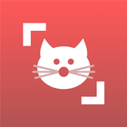 Cat Scanner ikona