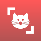 Cat Scanner Zeichen