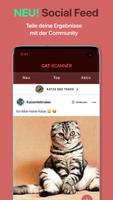 Cat Scanner Screenshot 3