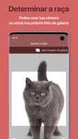 Cat Scanner Cartaz